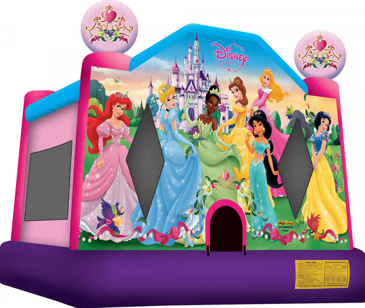 15x15 Themed Bounce Houses